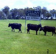 Cluan Homestead - The Managers Residence - Whitsundays Accommodation