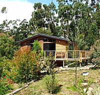 Southern Forest Accommodation - Whitsundays Accommodation