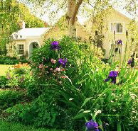 Panshanger - Whitsundays Accommodation