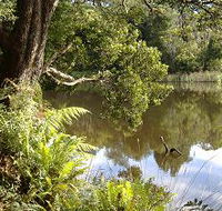 Weldborough Camping Ground - Whitsundays Accommodation