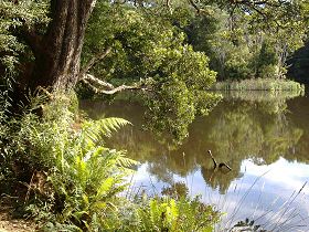 Weldborough Camping Ground - Whitsundays Accommodation 0