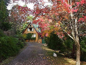 Woodbridge Hill Cottage - Whitsundays Accommodation 0