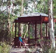 Telopea - Whitsundays Accommodation