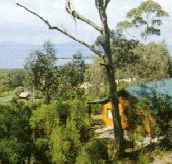 Partridge Farm - Whitsundays Accommodation