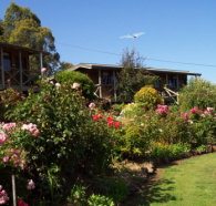 Mole Creek Holiday Village - Whitsundays Accommodation