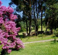 Figlea Cottages - Whitsundays Accommodation