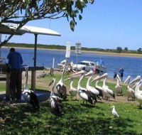 Mountain View Caravan and Mobile Home Village