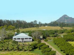 Mango Hill Farm - Whitsundays Accommodation 0