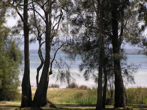 A Paradise Bungalow Waterfront - Whitsundays Accommodation 5