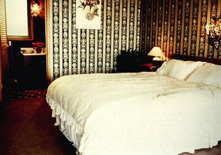 Avalanche Homestead - Whitsundays Accommodation 1