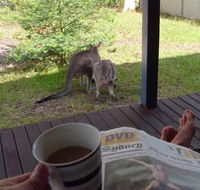 Bush and Bay Cottage