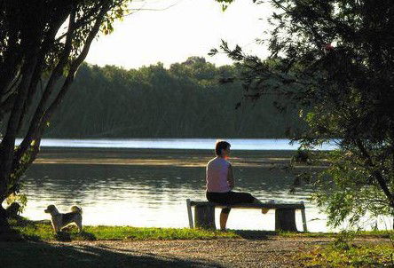 Fishing Haven Caravan Park - Whitsundays Accommodation 2