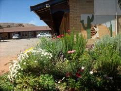 Silver Spade Motel - Whitsundays Accommodation 3