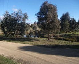 Delegate Caravan Park - Whitsundays Accommodation 0