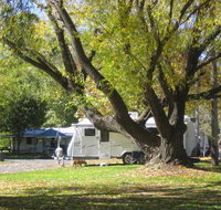 Tumbarumba Creek Caravan Park - Whitsundays Accommodation