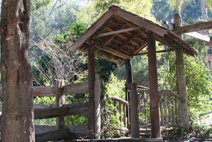 Bass Lodge - Whitsundays Accommodation 4