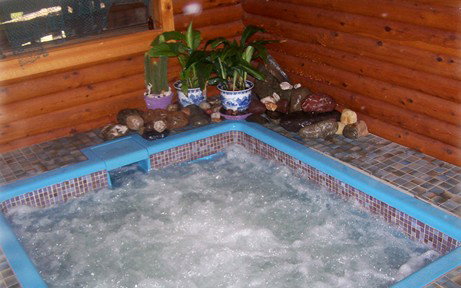 Bass Lodge - Whitsundays Accommodation 5