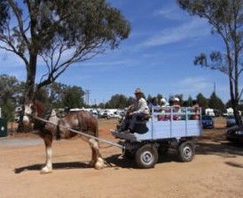 Ariah Park Camping Ground - Whitsundays Accommodation 1