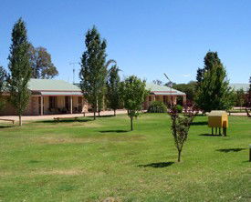 Narrandera Caravan Park - Whitsundays Accommodation 0