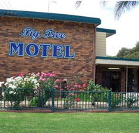 Fig Tree Motel - Whitsundays Accommodation