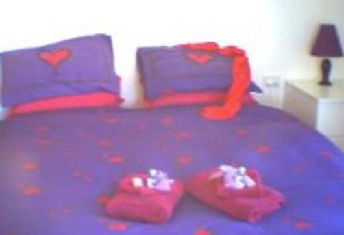 Liston NSW Whitsundays Accommodation