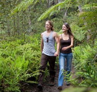 Blackheath Glen Tourist Park - Whitsundays Accommodation