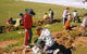 Banderra B And B Farmstay - thumb 0