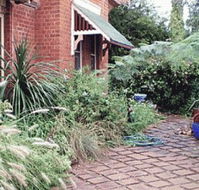 Carinya B and B - Whitsundays Accommodation