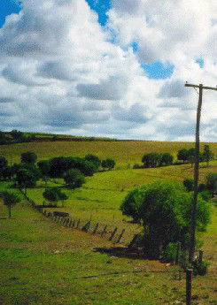 Mango Hill Cottages Bed And Breakfast - Whitsundays Accommodation 2