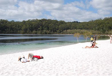 Whalecove Resort - Whitsundays Accommodation 2