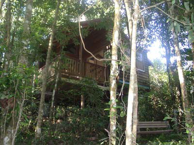 Adjinbilly Rainforest Retreat Cabins - Whitsundays Accommodation 0