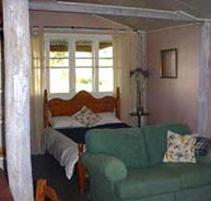 Bunnyconnellen Olive Grove and Vineyard - Whitsundays Accommodation