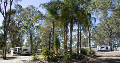 Barambah Bush Caravan Park - Whitsundays Accommodation 1