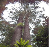 Moorlands Country Retreat - Whitsundays Accommodation