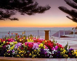 Harristown Guest Rooms - Whitsundays Accommodation 1