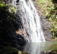 Binna Burra Mountain Lodge