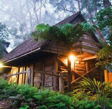 Binna Burra Mountain Lodge - Whitsundays Accommodation 2