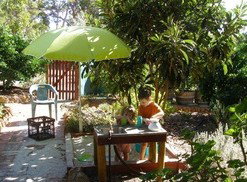Karri Patch Cottage - Whitsundays Accommodation 3
