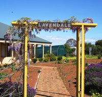 Lavendale Farmstay and Cottages - Whitsundays Accommodation