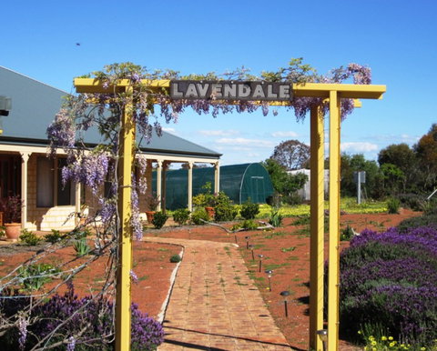 Lavendale Farmstay And Cottages - Whitsundays Accommodation 0