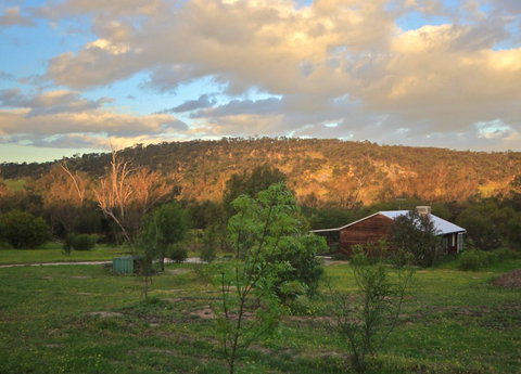 Lavendale Farmstay And Cottages - Whitsundays Accommodation 4