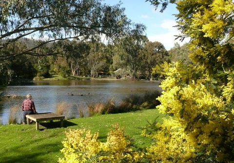 The Burrow At Wombat Bend Bed And Breakfast - Whitsundays Accommodation 0