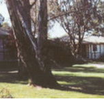 Winbi River Resort - Whitsundays Accommodation