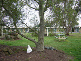 The Gold Sovereign Motor Inn - Whitsundays Accommodation 0