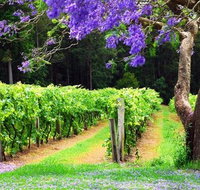 Bago Vineyards - Whitsundays Accommodation