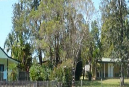 Nimbin NSW Whitsundays Accommodation