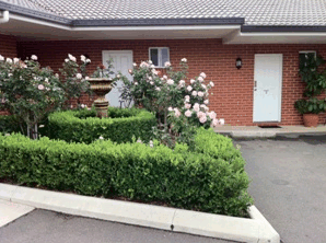 Akuna Motor Inn - Whitsundays Accommodation 4