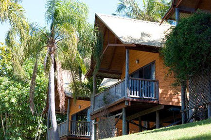 A Paradise Palms Resort - Whitsundays Accommodation 1