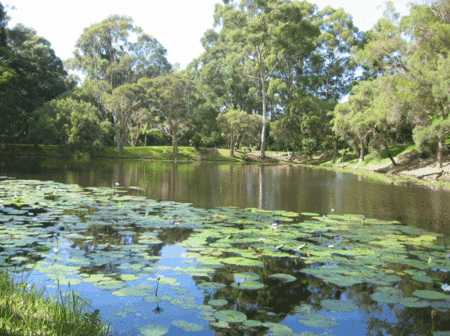 Santa Fe Luxury Bed And Breakfast - Whitsundays Accommodation 3
