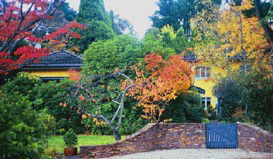 Moniques Bed And Breakfast - Whitsundays Accommodation 3